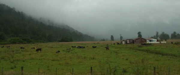 NewZealand 1604