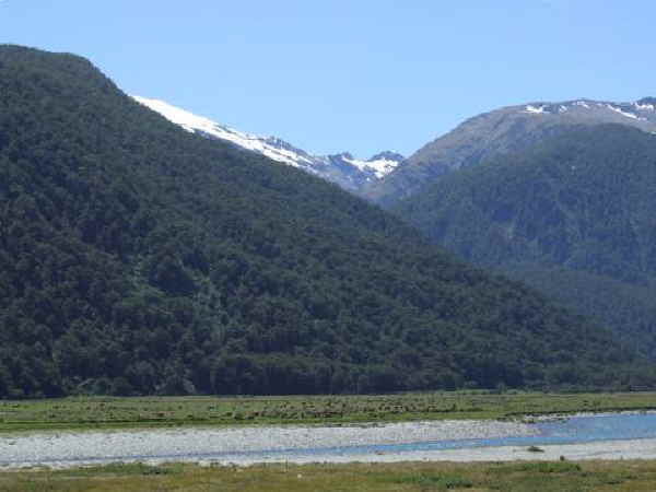 NewZealand 2055