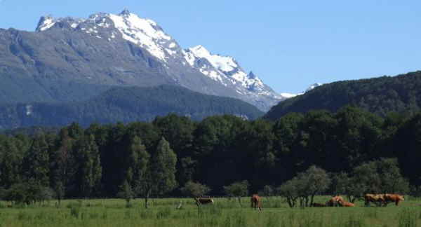 NewZealand 2249
