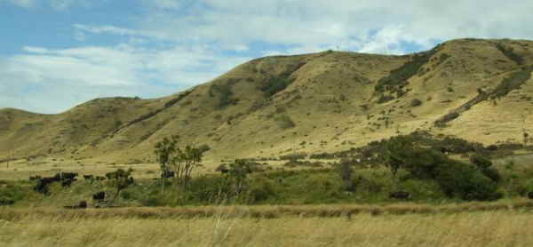 NewZealand 283